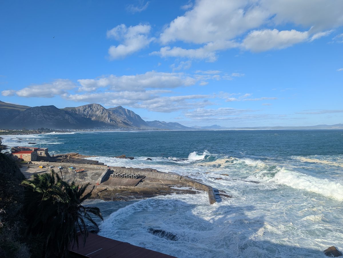Dag 8 - Rit naar Hermanus