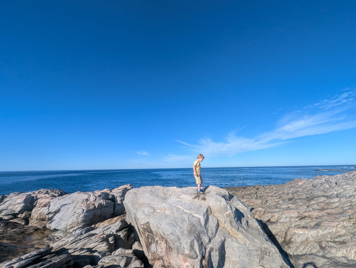 Dag 11 - Hermanus