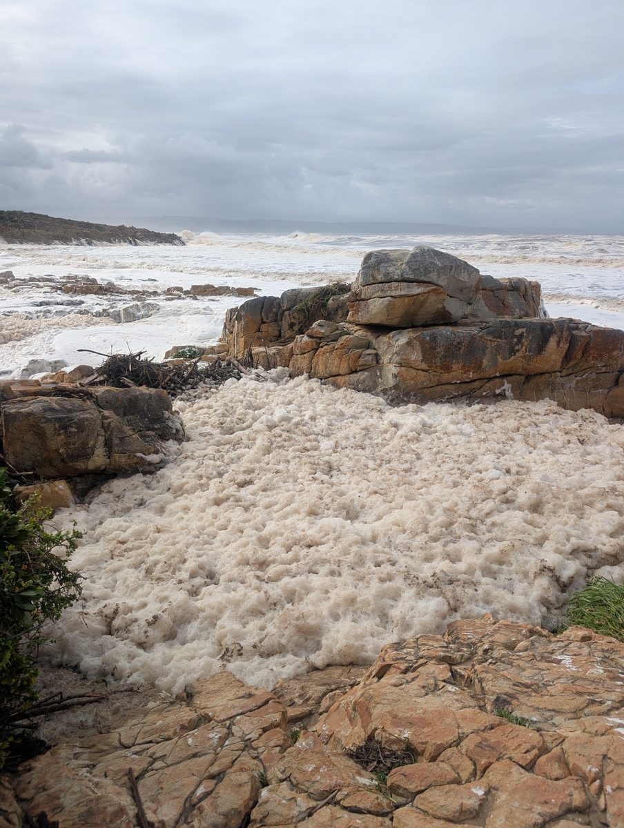 Dag 23 - Plettenberg Bay