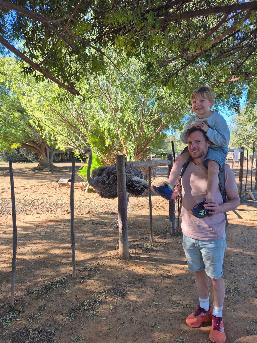 Dag 31 - Oudtshoorn