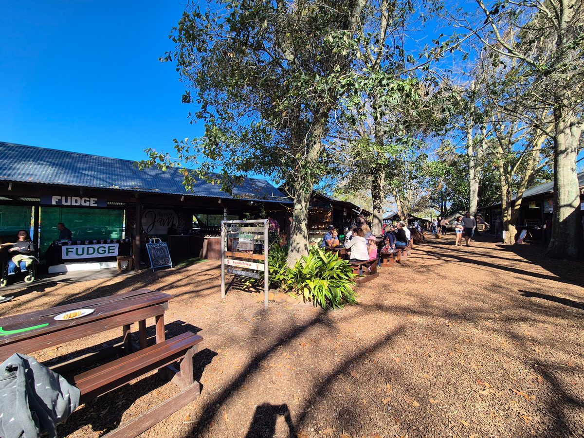 Dag 32 - Oudtshoorn