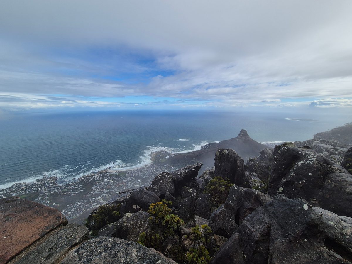 Dag 6 - Houtbaai - Tafelberg 